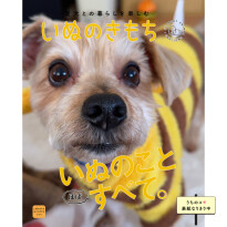 犬 ( いぬ )の 写真 ( 画像 )-ヨークシャー・テリア しらす -1229554