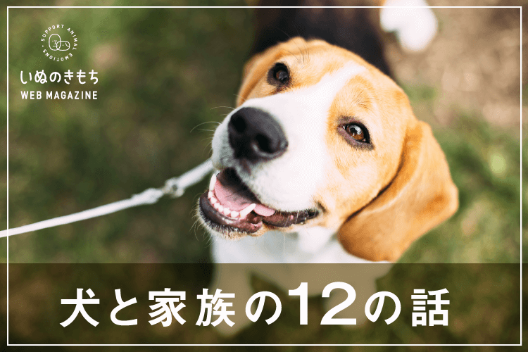 犬と家族の12の話