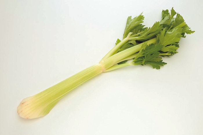 セロリ